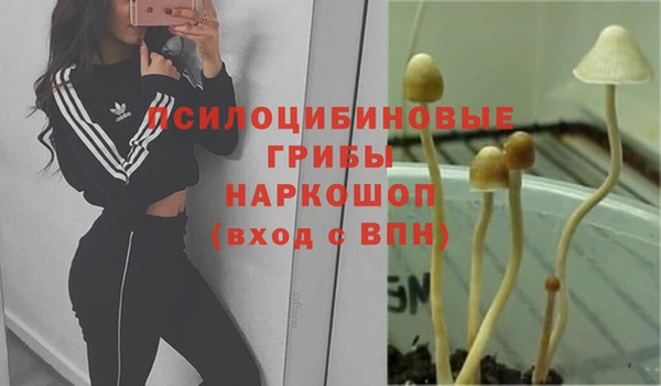 прущая мука Армянск