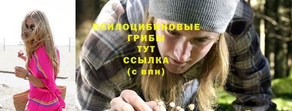 дмт Арсеньев
