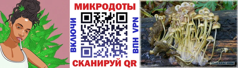 Галлюциногенные грибы мицелий  Купить где  Дзержинский 